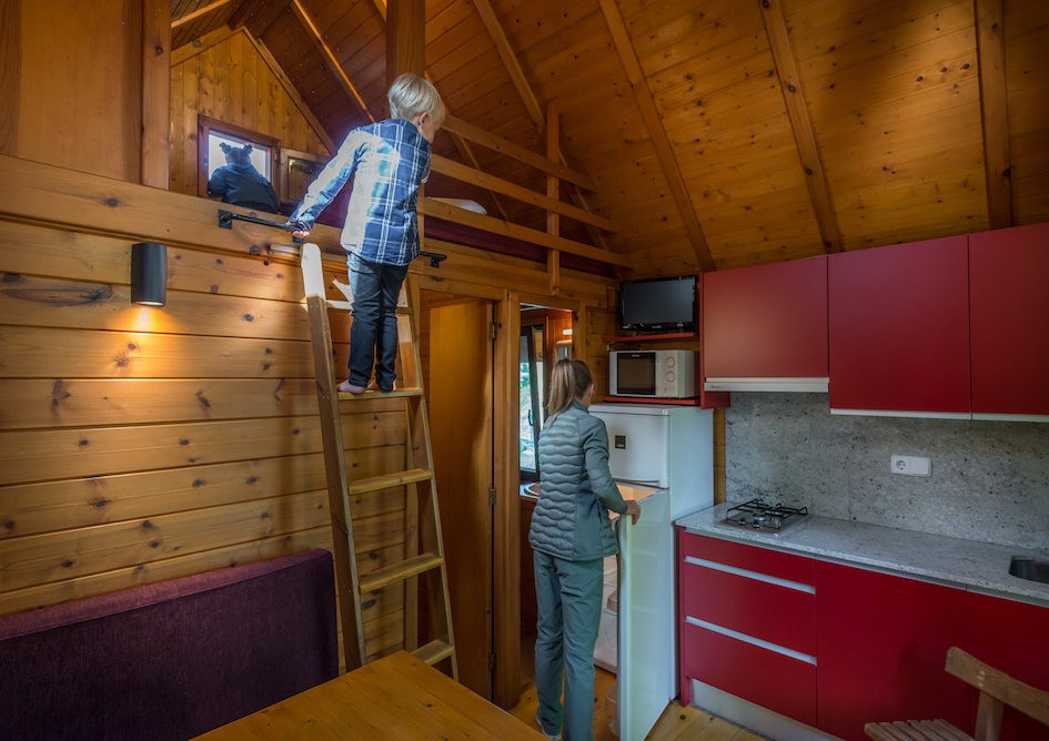 bungalows_verneda_mountain_resort_eco_friendly_val_d_aran_pirineo