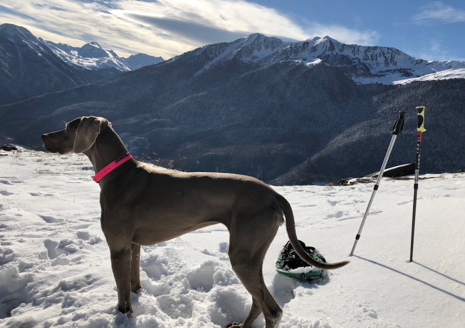 pet_friendly_verneda_mountain_resort_val_d_aran