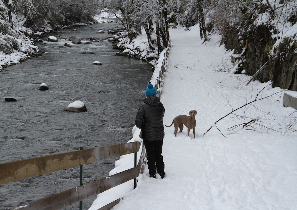 verneda_mountain_resort_pet_firiendly_val_d_aran_con_mi_perro
