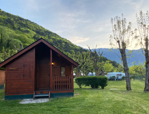 Bungalows de madera