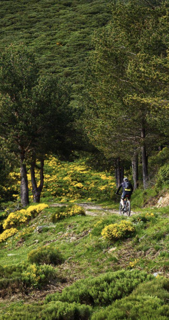 Camping Verneda salidas de senderismo