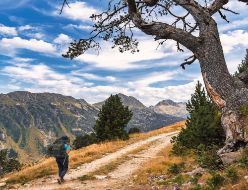 La Castañada y tradiciones de otoño en la Val d’Aran
