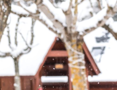 Escapadas de invierno en la Val d’Aran