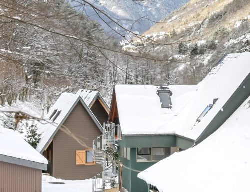 Despedimos 2025 y damos la bienvenida a nuestro 40 aniversario