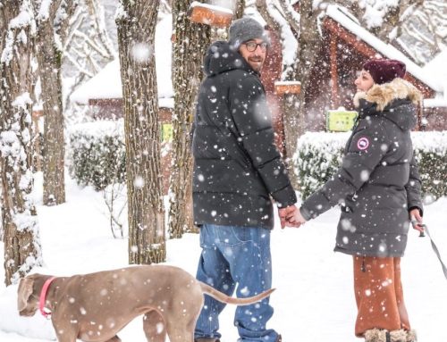 Consejos para una Navidad Sostenible en los Pirineos