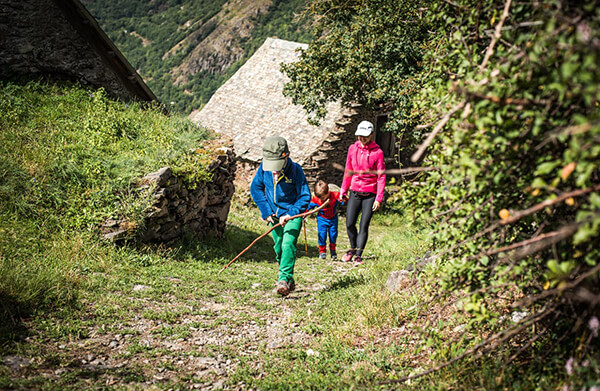 Contacto con la naturaleza en las actividades programadas